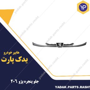 جلو پنجره پژو   df 206