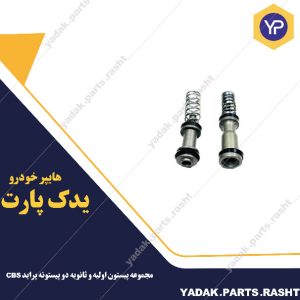 مجموعه پیستون اولیه و ثانویه دو پیستونه پراید CBS  برند لاستیک گیلان
